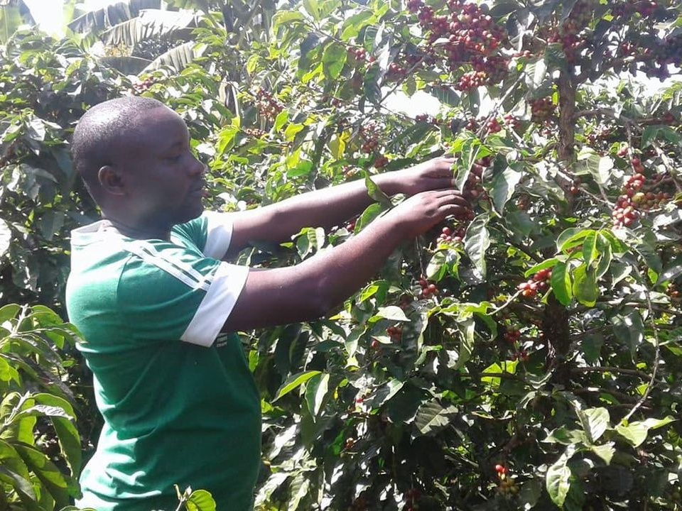 Kigoma12