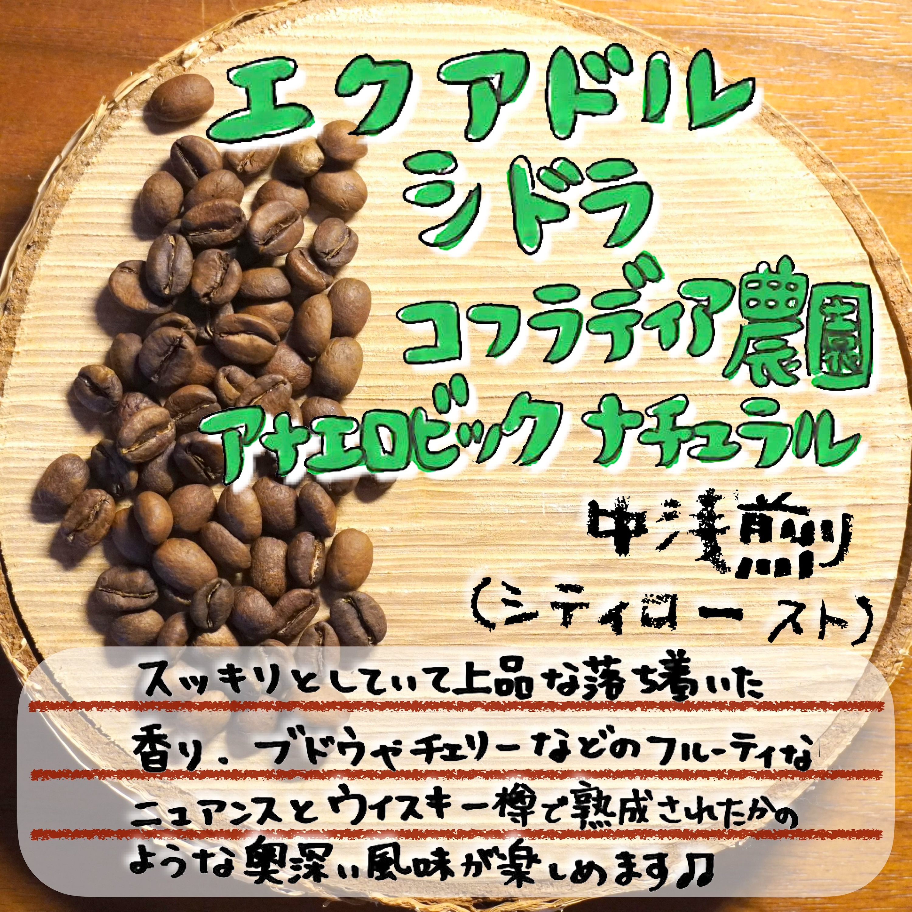 エクアドルシドラj
